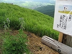 阿蘇山６.jpg